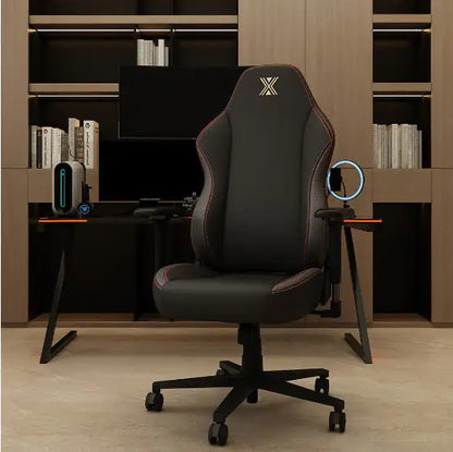 Lumbar Support Desk Chair