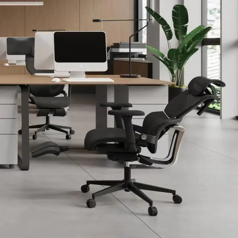 Ergonomic Office Chair With Footrest