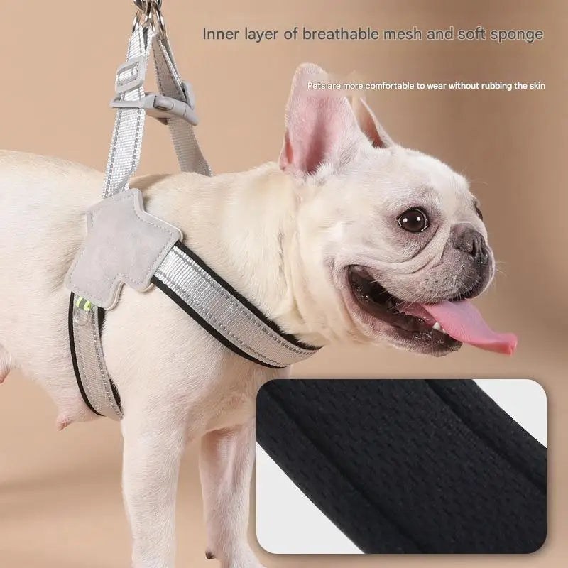 Dog Chest Strap - Breathable Mesh