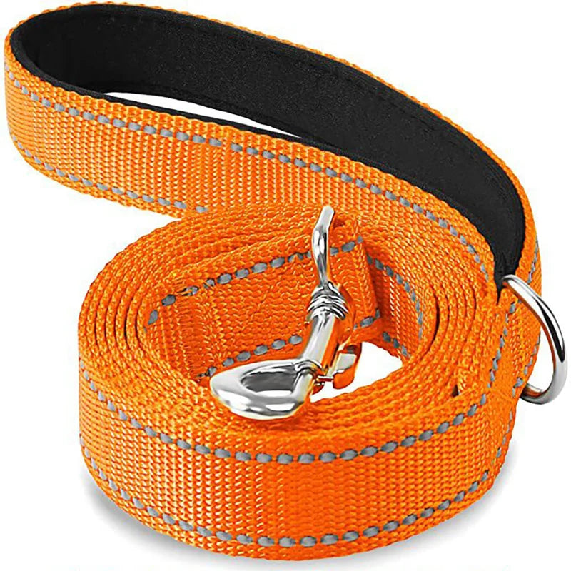 Guard Rope Pet Walking Training Leash