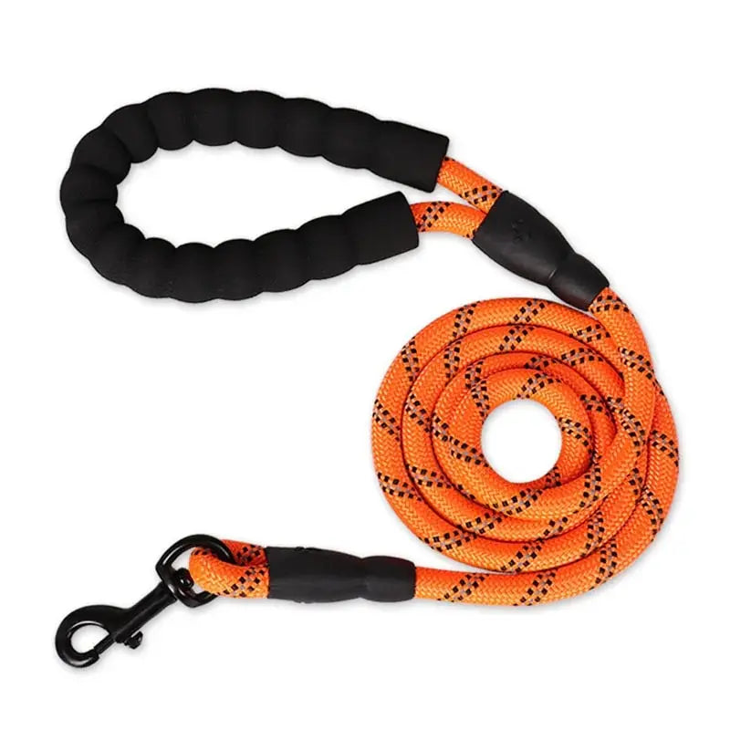 Reflective Dog Leash With Comfortable Padded Handle