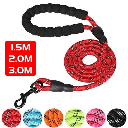 Reflective Dog Leash With Comfortable Padded Handle