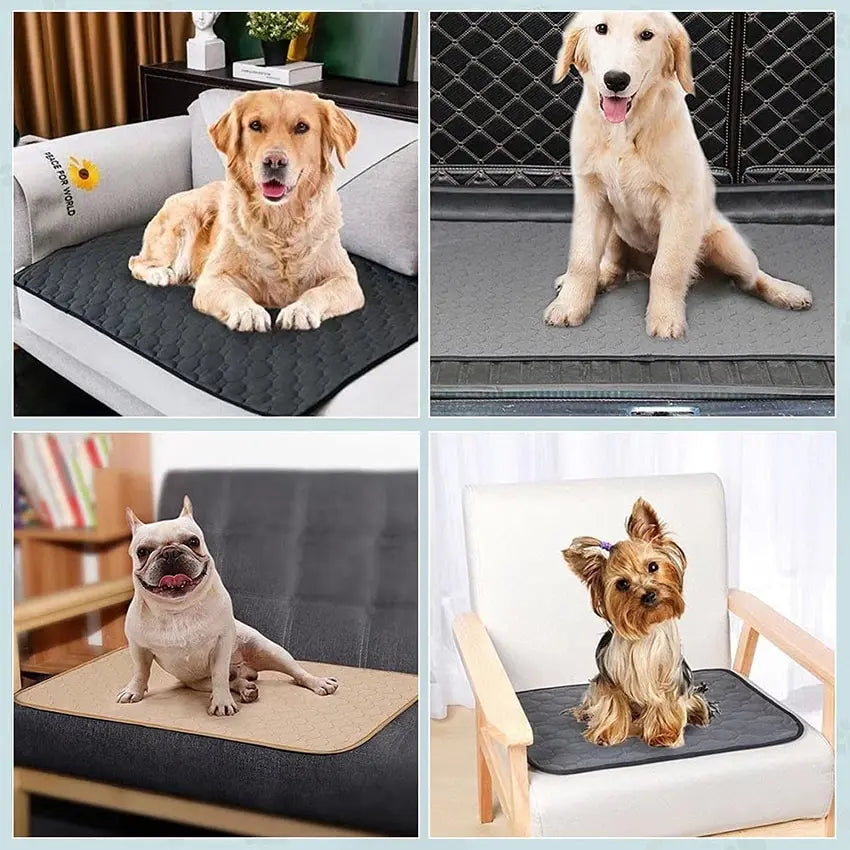 Dog Training Pad