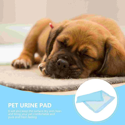 100 Pcs Pee Pads for Dogs