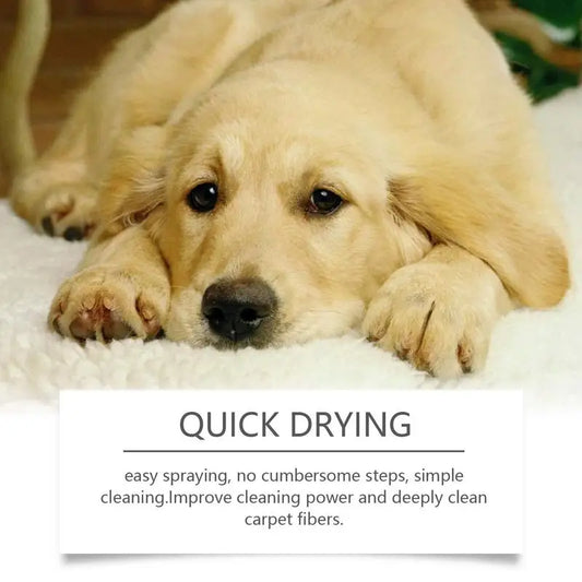 Pet Stain Cleaner Natural Carpet Cleaner