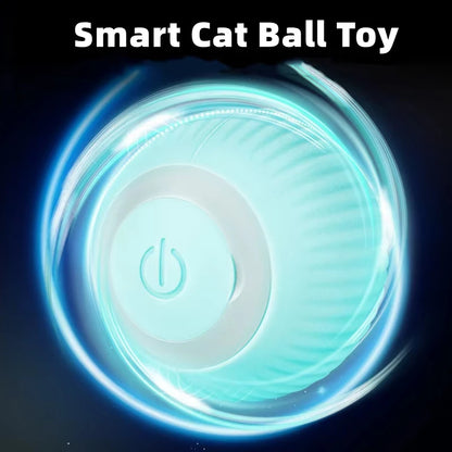 Cat Interactive Ball Toys