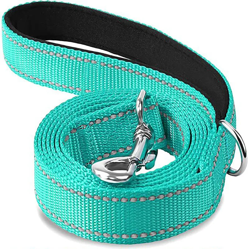 Guard Rope Pet Walking Training Leash