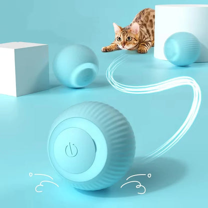 Cat Interactive Ball Toys