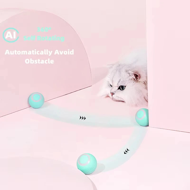 Cat Interactive Ball Toys