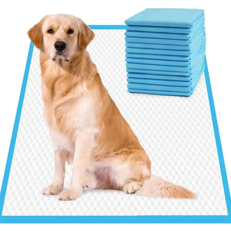 Disposable Super Absorbent Dog Training Pee Pads